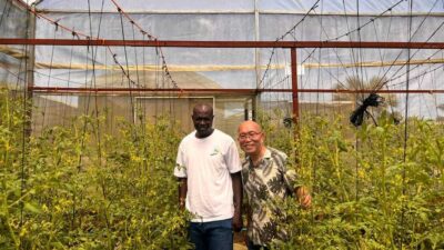 Solar-Powered Irrigation systems